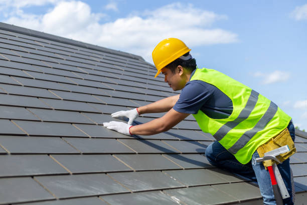 Best Storm Damage Roof Repair  in Homer, AK