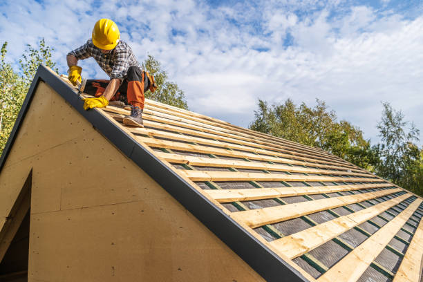 Best Gutter Installation and Roofing  in Homer, AK