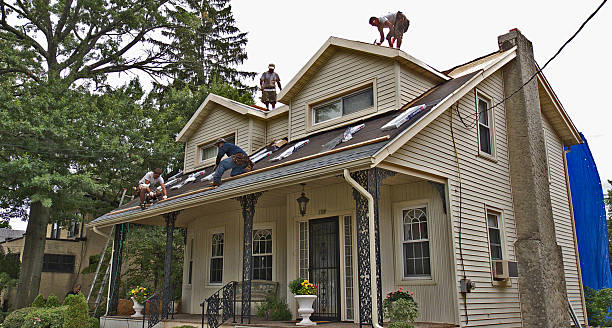 Best Emergency Roof Repair  in Homer, AK