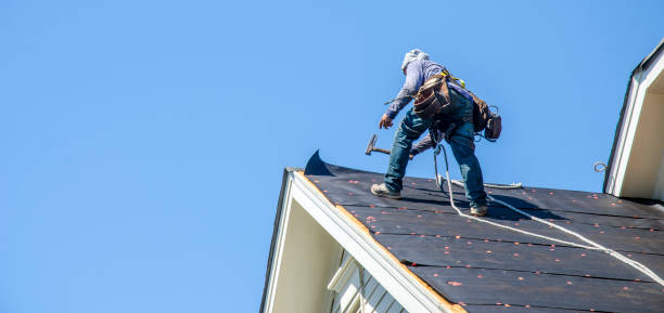 Best Flat Roof Repair Services  in Homer, AK